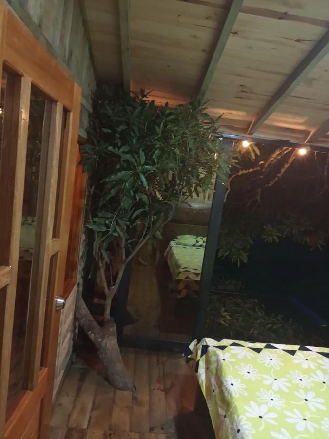 Hotel La Casita Del Arbol Guaduas Cundi. Exteriér fotografie